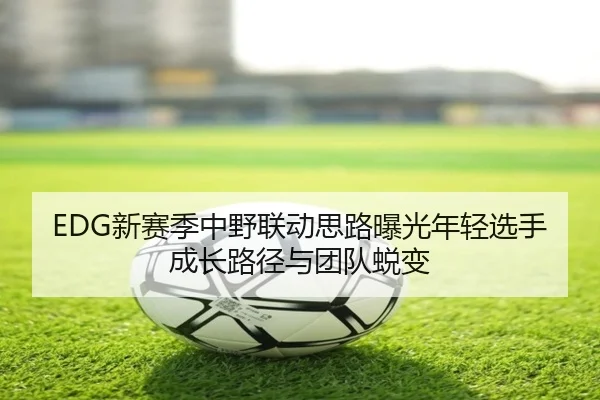 EDG新赛季中野联动思路曝光年轻选手成长路径与团队蜕变